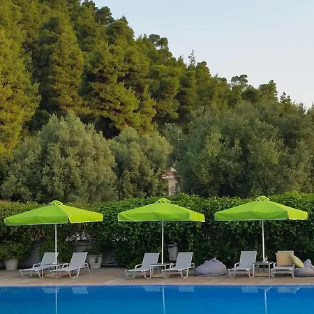 Hotel Palladium 4*