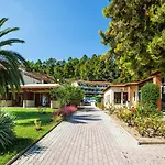 Szálloda Palladium 4*