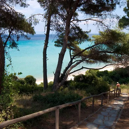 Palladium Κρυοπηγή