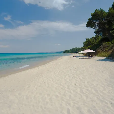 Ξενοδοχείο Palladium 4*